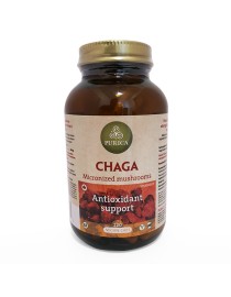 프리카 차가 버섯 120정